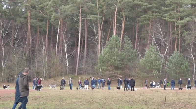 Mensch Mit Tier - Wir Helfen Dir e. V. - ein voller Erfolg - Foto: NordNews.de