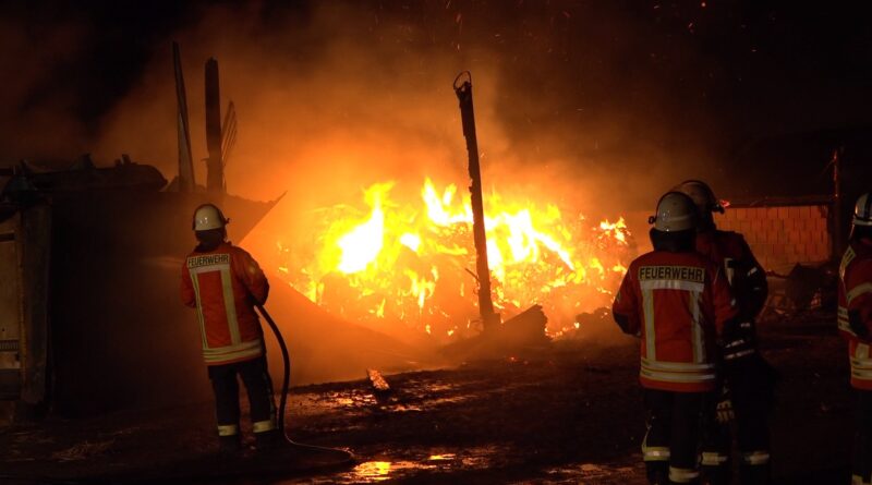 Ein Dutzend Bullen sterben bei Großbrand in Lorup